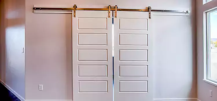 Glass Barn Door with Installation Hardware Kit Galt