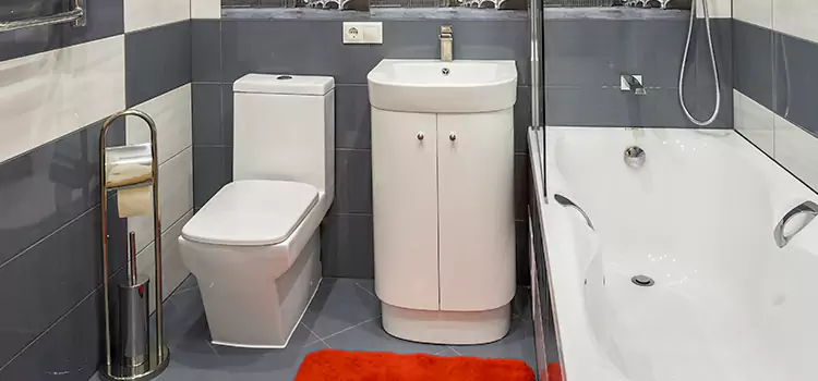 Hansgrohe Shaving Mirror Galt